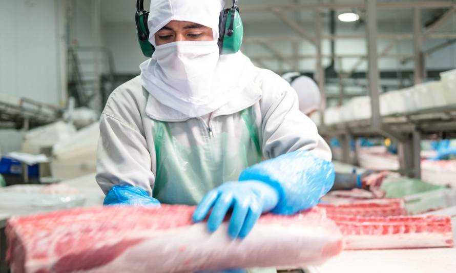 Industria de la carnes blancas se adapta al nuevo escenario