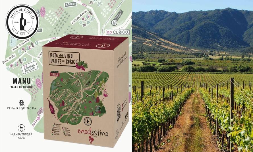 Ruta del Vino presenta edición limitada de “Saborea Curicó” para estas fiestas