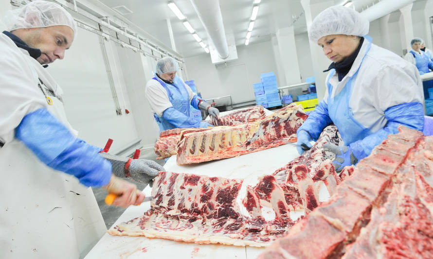 Carnes chilenas: aumenta producción, faena y exportaciones