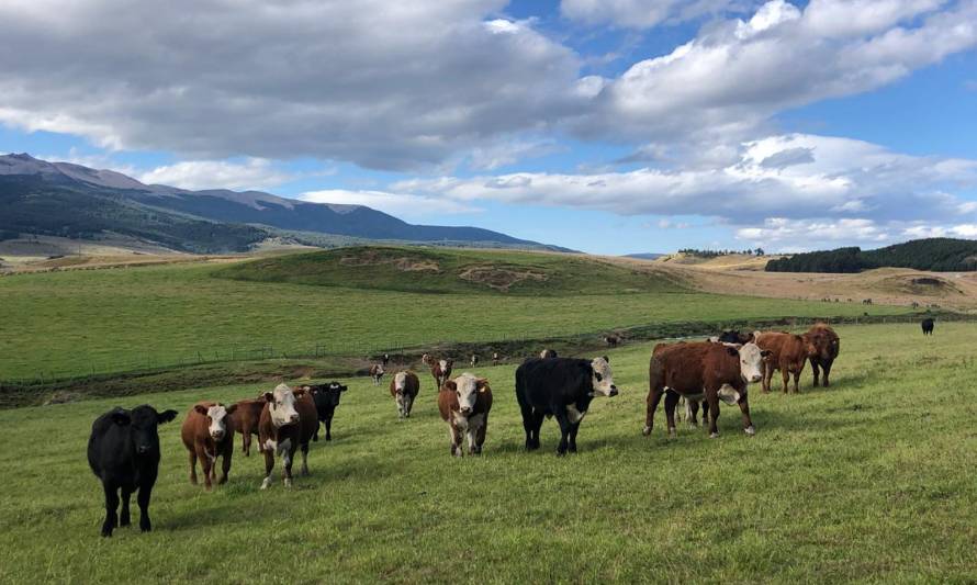 Realizan coloquio: “En la búsqueda de una producción animal más sustentable”