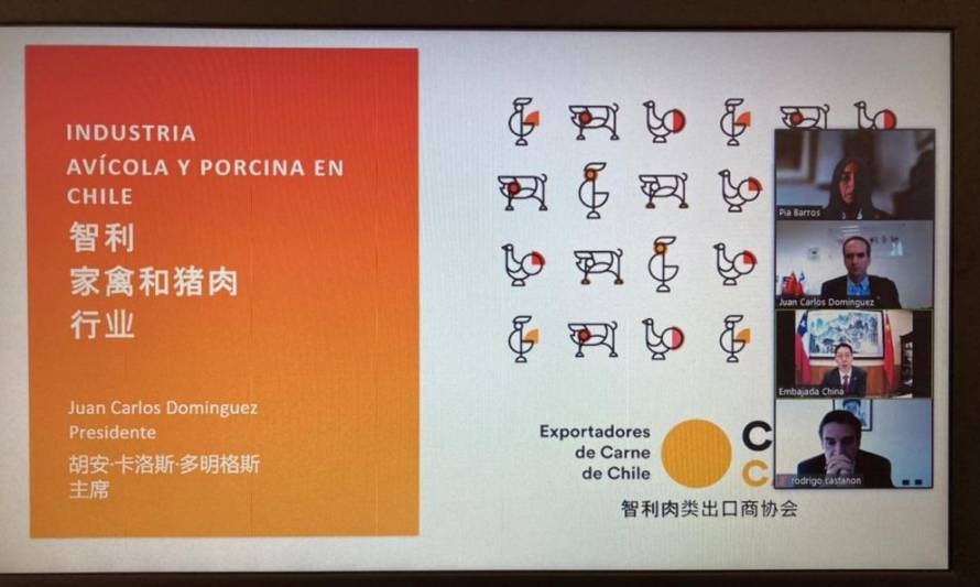 Representantes de ChileCarne se reúnen en forma virtual con nuevo embajador de Chile en China