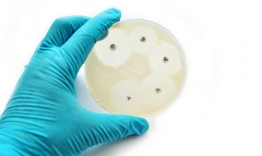 Agrosuper adhiere a programa del SAG para uso prudente de antimicrobianos