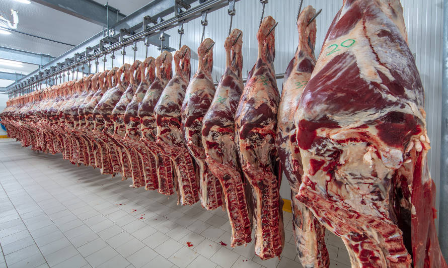 El mayor productor mundial de carne quiere avanzar por el control de BRF y desplazar a Marfrig