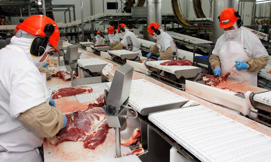 Exportaciones de carnes chilenas tienen rendimiento dispar en el primer semestre