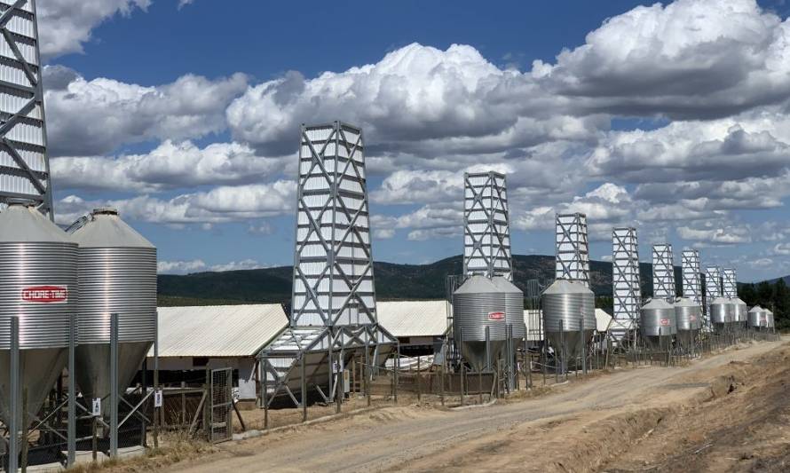 Tribunal confirma resolución ambiental para granja de Agrícola Coexca S.A. en San Javier