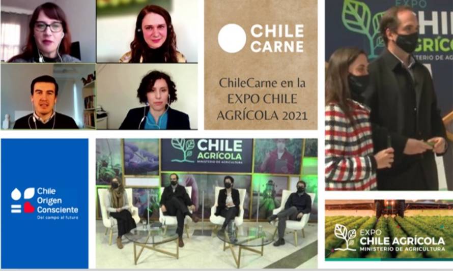 Chilecarne tuvo una activa participación en temas de sostenibilidad en la cuarta versión de Expo Chile Agrícola 2021