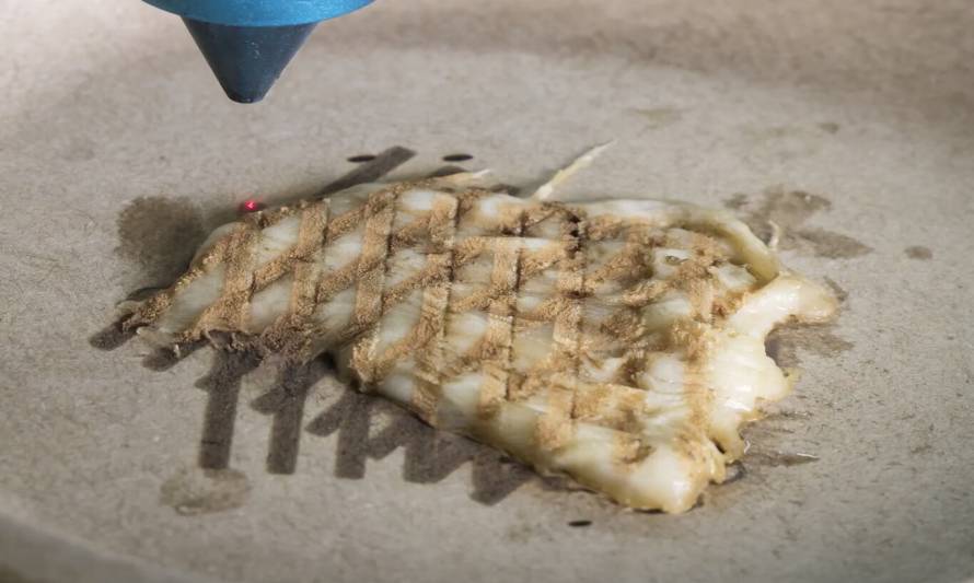 Carne de pollo impresa en 3D y cocinada con láser: así ven estos investigadores el futuro de la carne