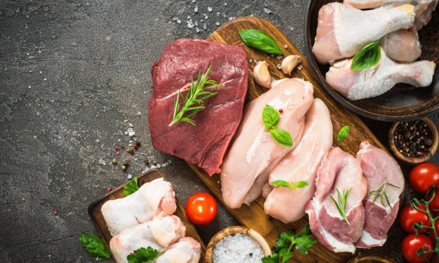 Analizan factores están siendo hoy gravitantes en la oferta y demanda de las carnes blancas en el mundo
