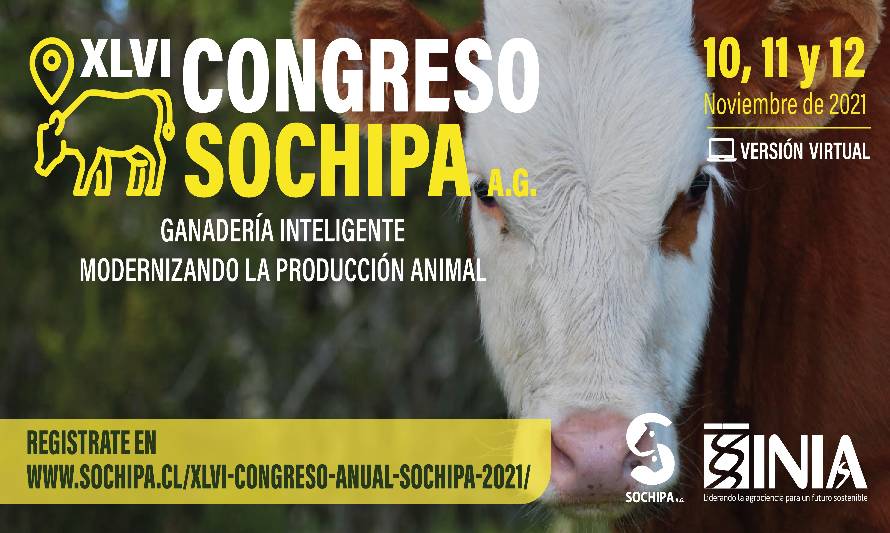 Congreso XLVI SOCHIPA 2021 abordará incorporación de tecnologías en la modernización de la producción ganadera