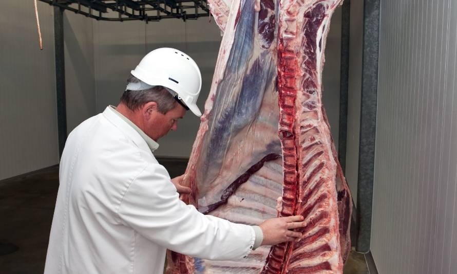 China suspende la exportación de otra planta de carne australiana