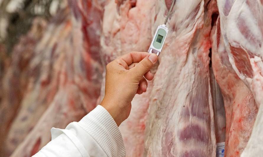 Exportación de carne: Argentina vuelve a quedar afuera del top 5 global