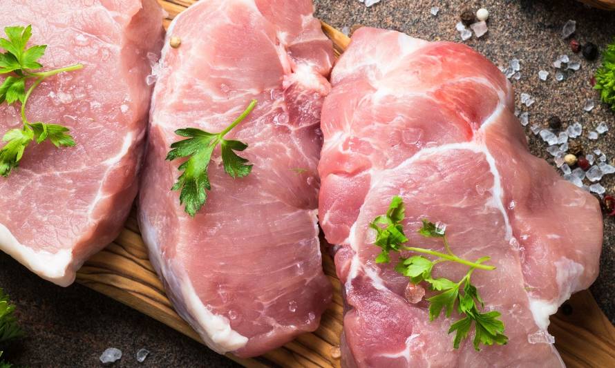 Rabobank da a conocer factores que frenan comercio de sector porcino a nivel mundial