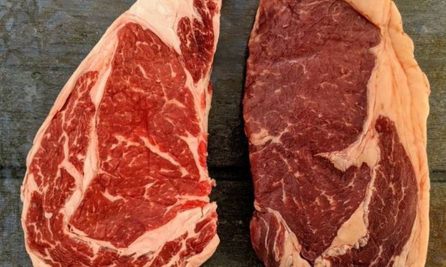 Por qué la carne de pastura tiene un color más oscuro y grasa de tonalidad más amarilla