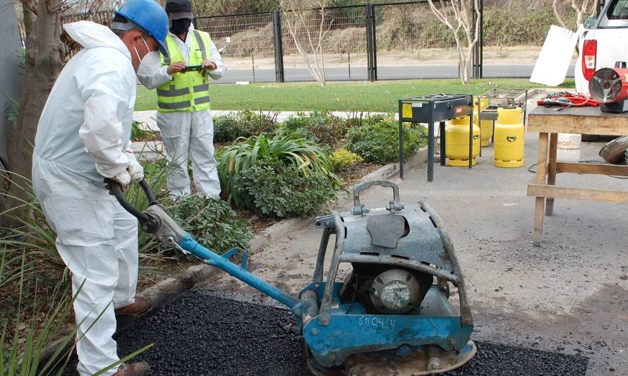 Agrosuper transforma desechos de cerdo en bioasfalto 