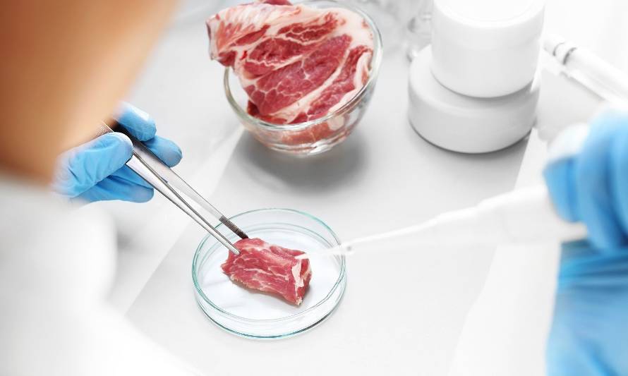 El mayor productor de proteína del mundo invierte U$S 100 millones en una empresa de carne de laboratorio