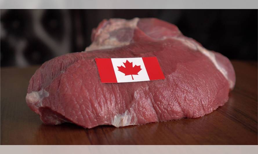 Corea del Sur deja de comprar carne de vacuno canadiense tras el caso de EEB