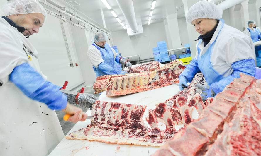 Chilemeat expone sobre la importancia de las exportaciones de carnes chilenas como fuente laboral