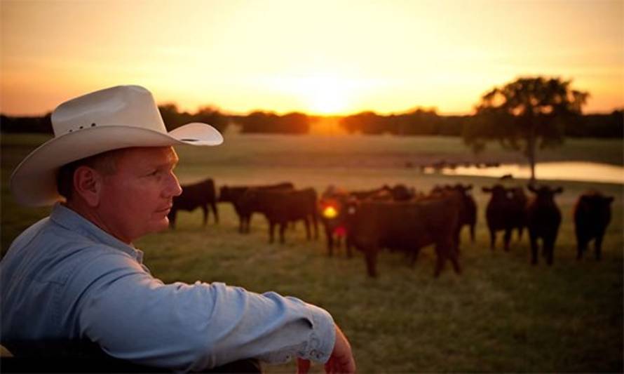 Estados Unidos: el stock de vacas es el más bajo en siete años por la sequía