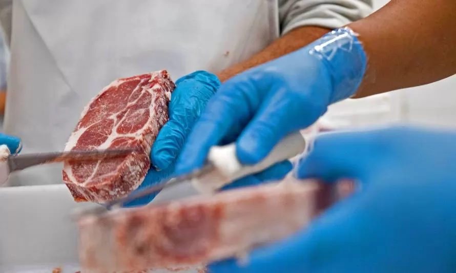 Las exportaciones de carne bovina en enero – marzo alcanzaron 5.250 toneladas