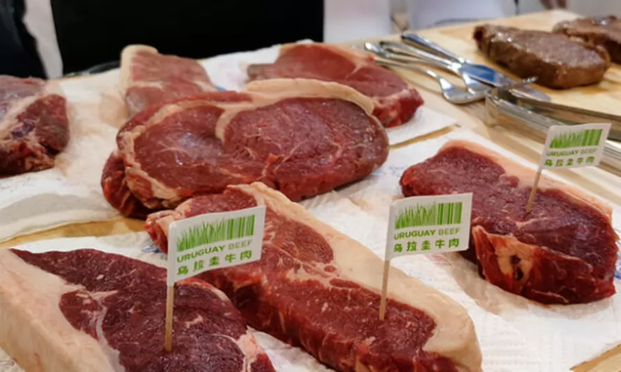 Firmeza “estructural” en demanda internacional de carne: conoce las razones 