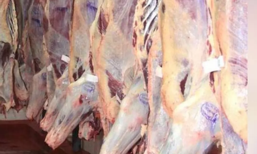 Paraguay desciende del top 10 de mayores exportadores de carne