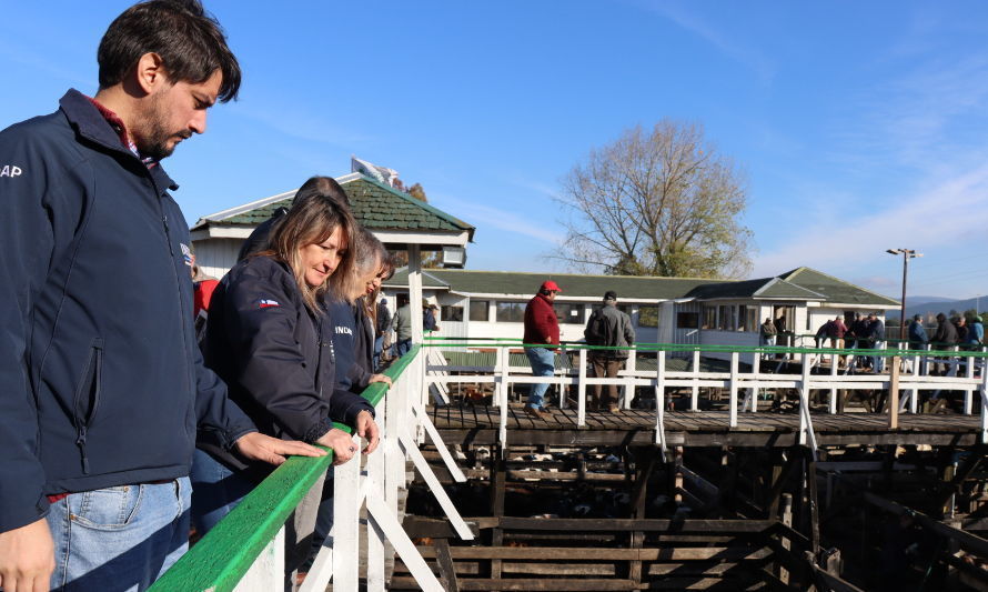 Dan el vamos a la primera feria ganadera para la agricultura familiar campesina 