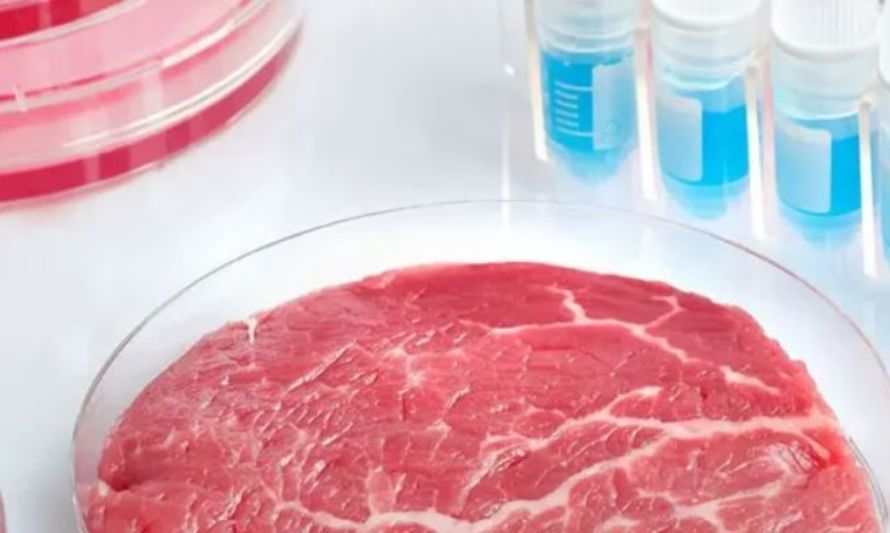 La “carne” cultivada en laboratorio es 25 veces peor para el clima que la carne vacuna