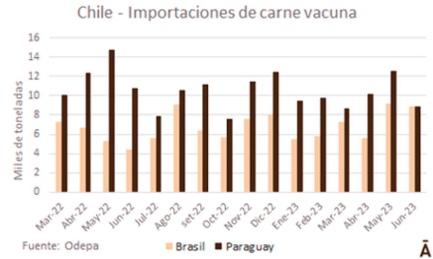 Brasil equiparó a Paraguay como proveedor del mercado chileno en junio