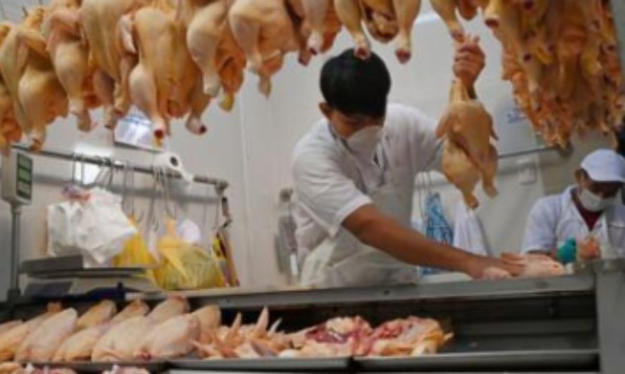 Vaticinan una disminución de carne de pollo en China para 2024