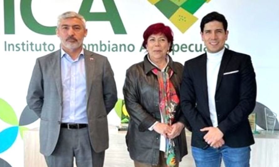 ICA colombiano y SAG abordan exportaciones cárnicas