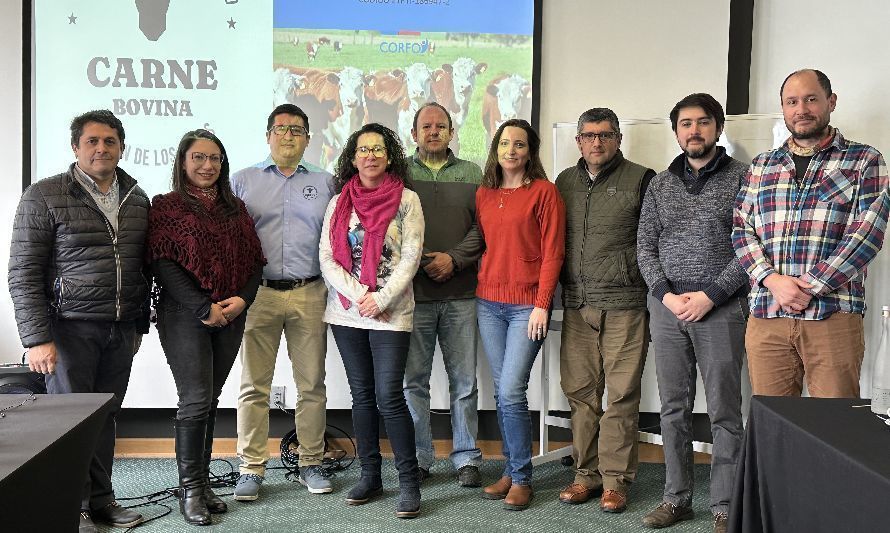 PTI Carne Bovina de Los Lagos avanza en fortalecimiento del sector  