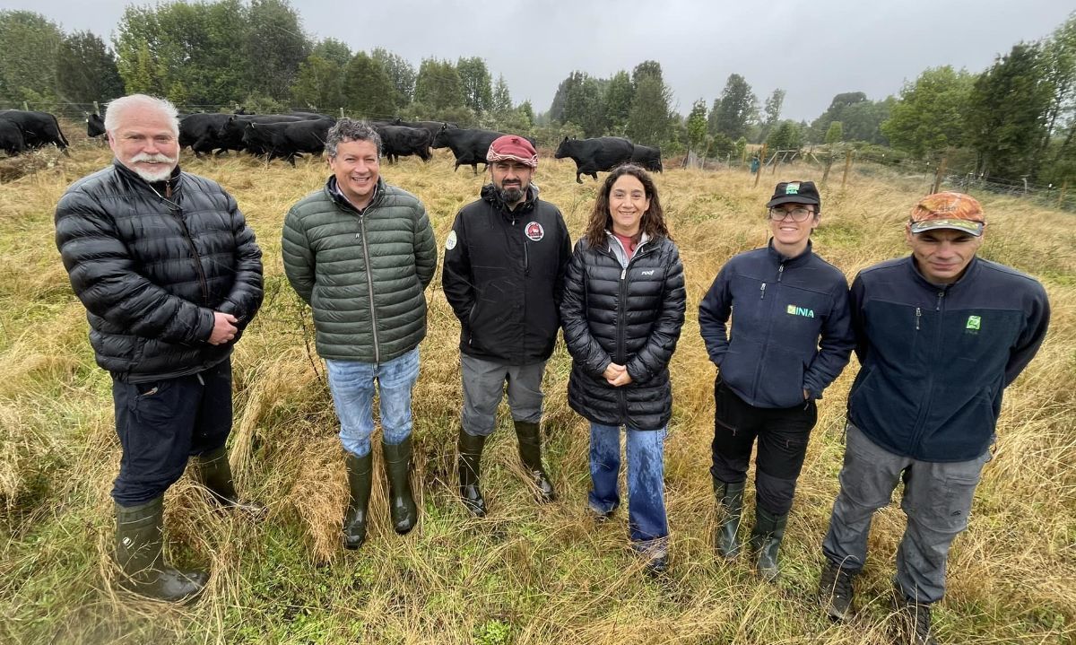 La directora nacional de INIA, Iris Lobos, junto al subdirector de Vinculación, Germán Holmberg, el director de INIA Remehue, Manuel Muñoz y el equipo técnico de INIA Butalcura. Créditos: INIA.