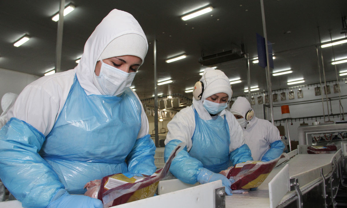 SAG logra apertura del mercado paraguayo para exportación de carne y subproductos avícolas
