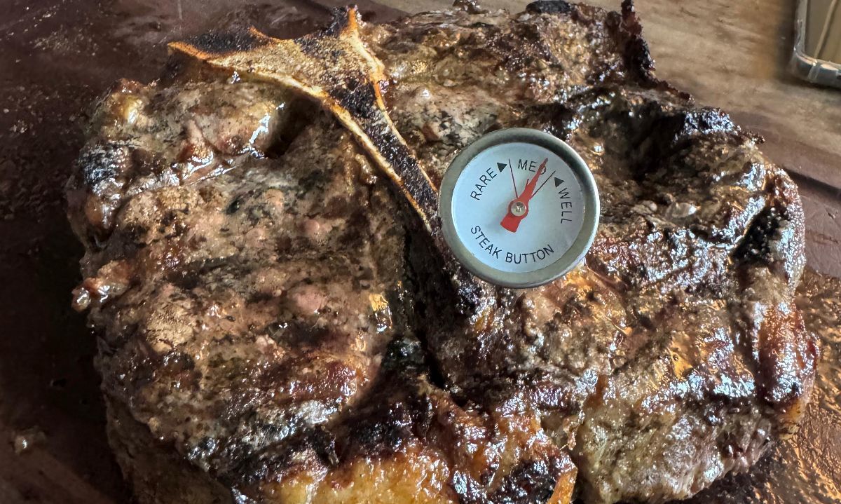Hay distintos tipos de termómetros que permiten muy buenos resultados. Créditos: Diario de la Carne.